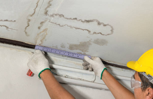 Reliable Mold Remediation contractor in Alexis, NC by Water Damage Irwin